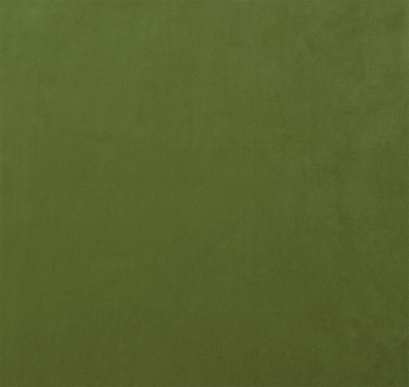 MAJESTIC-FERN — image 1 of 1