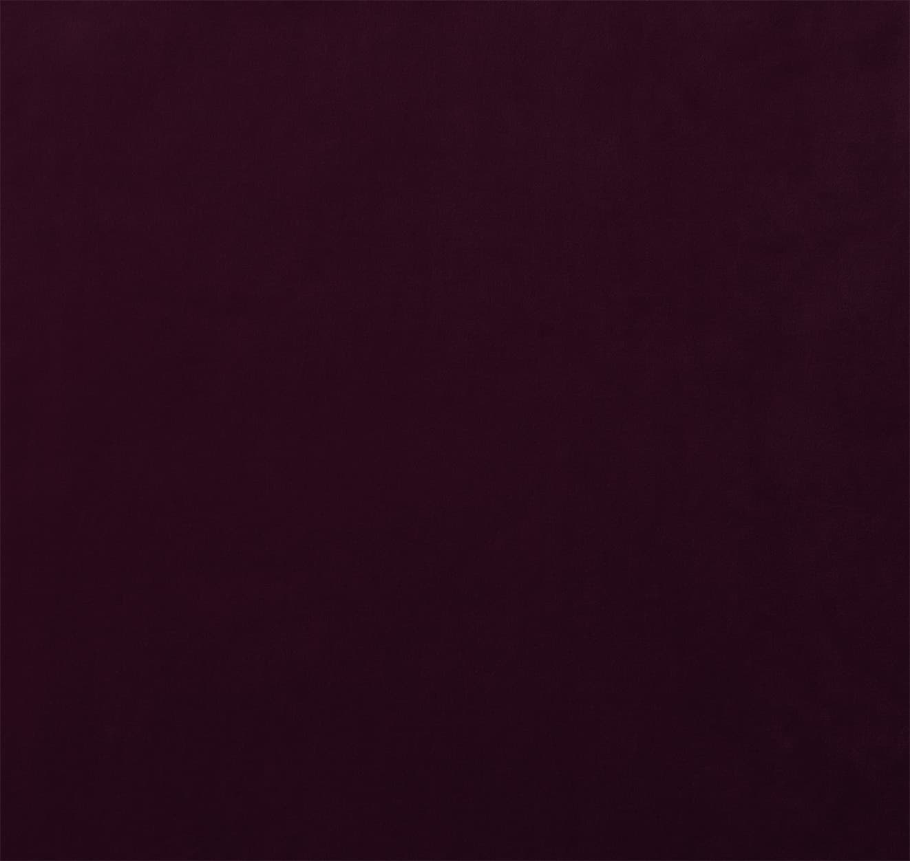 MAJESTIC-RAISIN — image 1 of 1