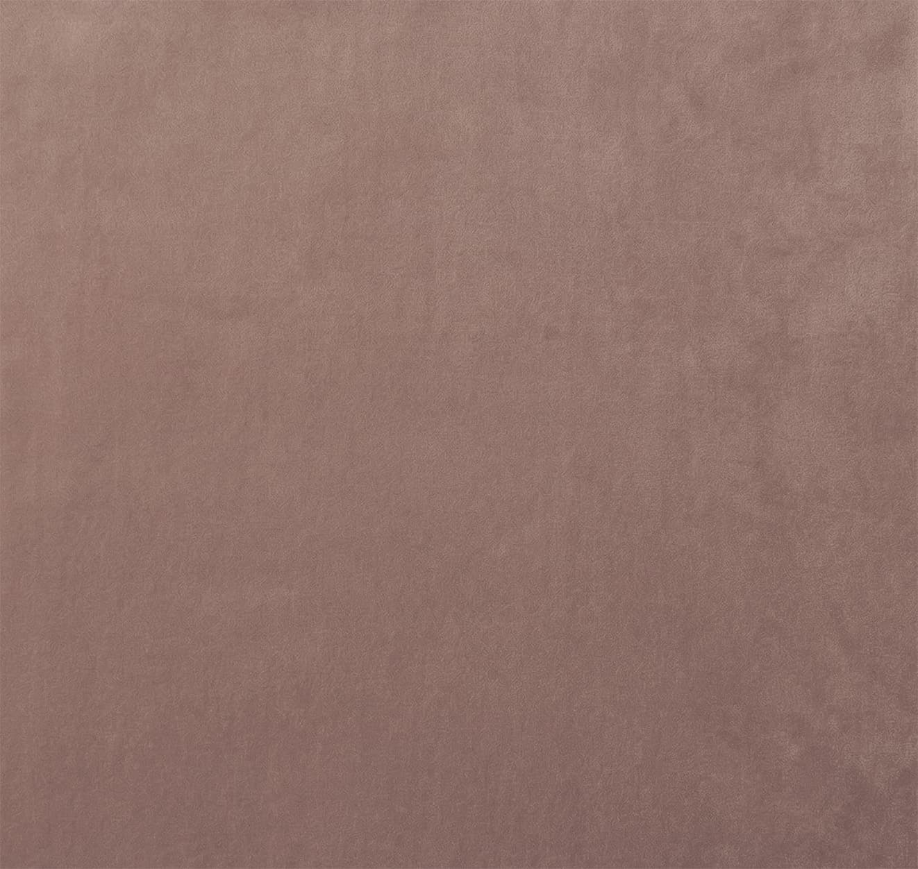MAJESTIC-ROSE — image 1 of 1